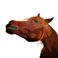 Animal print horse pop art portrait premium vector isolated design