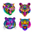 Colorful tiger pop art portrait group in pack ready to print Royalty Free Stock Photo