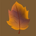 Fall leaf collection. Set of autumn leaves. Multicolor autumn leaves three-dimensional icons of autumn leaves of maple, oak, birch Royalty Free Stock Photo