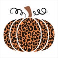 Leopard texture pumpkin - Hand drawn vector illustration. Autumn color poster