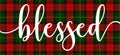 Blessed - Inspirational Thanksgiving day or Harvest handwritten word, lettering message on beautiful buffalo check plaid backgroun