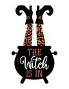 The Witch is in, Witch`s brew - Halloween quote on white background with pot.