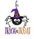 Trick or treat text with cute spider with witch hat - Happy Halloween quote on white background. Royalty Free Stock Photo