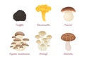 Set of vector cartoon mushrooms.