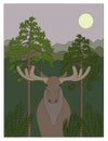 Moose in forest illustration