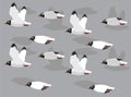 Animal Animation Sequence Black Head Gull Flying Cartoon Vector Seamless Wallpaper Royalty Free Stock Photo