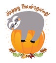 Happy Thanksgiving - funny sloth hanging on pumpkin lantern. Royalty Free Stock Photo