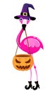 Happy Halloween - with flamingo witch with candy bucket lantern