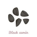 Black cumin seeds isolated on white