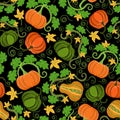 Blooming pumpkins on a black background. Royalty Free Stock Photo
