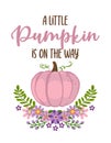A little pumpkin is on the way - Pregnant vector illustration with pink pumpkin. Royalty Free Stock Photo