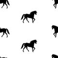 Seamless pattern with black walking horses silhouettes on white background. Royalty Free Stock Photo