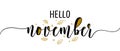 Hello November - Inspirational happy fall, autumn beautiful handwritten quote, gift tag, lettering message.