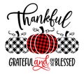 Thankful, grateful and oh so blessed Royalty Free Stock Photo