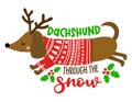Dachshund through the snow - Calligraphy phrase for Christmas. Royalty Free Stock Photo