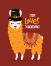 Llama loves Thanksgiving - Cute llama with pilgrim.