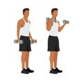 Man doing standing dumbbell bicep curls. Royalty Free Stock Photo
