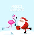 Merry Christmas and Happy New Year - skating Santa with a Flamingo Royalty Free Stock Photo