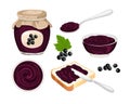 Black currant jam set. Vector sandwich with homemade berry marmalade, knife, glass jar with jelly,