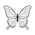 Papilio palinurus butterfly outline illustration. Black silhouette of beautiful tropical flying insect.