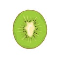 Kiwi fruit slice isolated on white background. Vector illustration of half a tropical fruit Royalty Free Stock Photo