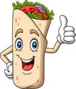 Cartoon burrito or kebab mascot design