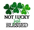 Not lucky just blessed - funny St Patrick`s Day Royalty Free Stock Photo