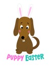 Puppy Easter - Doodle draw funny Bunny dog.