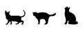 Set of isolated black silhouettes of cats in different poses Royalty Free Stock Photo