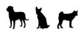 Set of isolated black silhouettes of dogs. Royalty Free Stock Photo