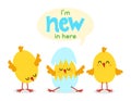 I`m new in here - cute chicks and hatching chick with eggshell. Royalty Free Stock Photo