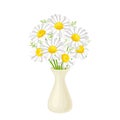 Bouquet of chamomile in white vase isolated. Vector illustration of beautiful daisy flowers