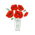 Red poppies in a transparent glass vase isolated on a white background. Vector illustration of poppy flowers Royalty Free Stock Photo