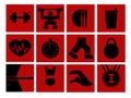 set of sports icons in a flat style in red-black colors. Royalty Free Stock Photo