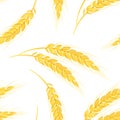 Golden ears of wheat seamless pattern. Background with agricultural plant. Vector illustration Royalty Free Stock Photo