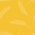 Ears of wheat on yellow background. Botanical seamless pattern. Royalty Free Stock Photo