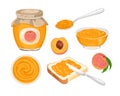 Peach jam set. Vector glass jar with jelly, marmalade spread on piece of toast bread