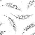 Wheat spikelet outline seamless pattern. Botanical background with cereal ears.