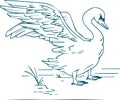 Swan drawing line art illustration
