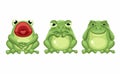Frog character set mascot cartoon illustration vector Royalty Free Stock Photo