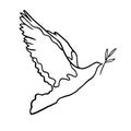 Peace concept vector illustration. Flying bird with olive branch line art. Dove of peace doodle Royalty Free Stock Photo