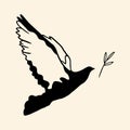 Flying bird with olive branch doodle. Dove of peace illustration Royalty Free Stock Photo