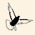 Flying bird vector illustration. Flying bird doodle. Dove of peace doodle