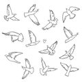 Doodle dove of peace illustration set
