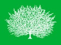 White silhouette of a tree on a green background hand drawn .Tree of life. Royalty Free Stock Photo