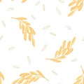 Rice seed and plant seamless pattern. Vector background with cereals and ears on white.