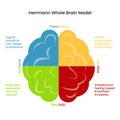 Herrmann\'s Whole Brain Model infographic vector