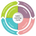 Kolb\'s Learning Cycle Infographic Vector Illustration