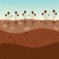 Mucormycetes habitating in soil vector illustration background
