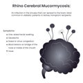 Rhinocerebral Mucormycosis Brain Black Fungus Infection vector illustration